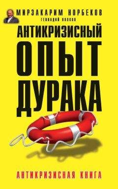 Геннадий Волков - Антикризисный опыт дурака