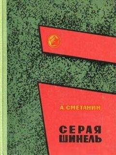 Александр Сметанин - Серая шинель