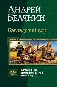 Андрей Белянин - Трилогия "Багдадский вор"