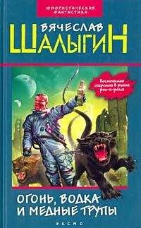 Вячеслав Шалыгин - Звезда с одним лучом