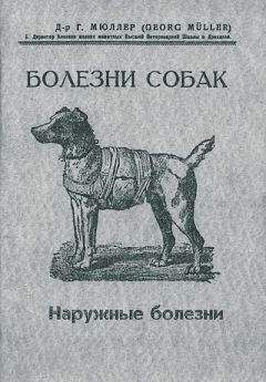 Георг Мюллер - Болезни собак. Краткое руководство. Наружные болезни