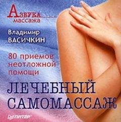Владимир Васичкин - Лечебный самомассаж: 80 приемов неотложной помощи