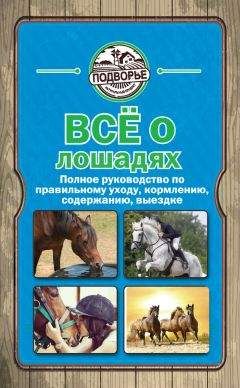 Игорь Скрипник - Все о лошадях. Полное руководство по правильному уходу, кормлению, содержанию, выездке
