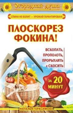 Наталья Герасимова - Плоскорез Фокина! Вскопать, прополоть, прорыхлить и скосить за 20 минут
