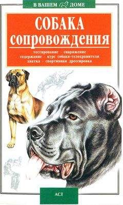 Валерий Высоцкий - Собака сопровождения