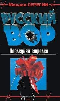 Михаил Серегин - Последняя стрелка