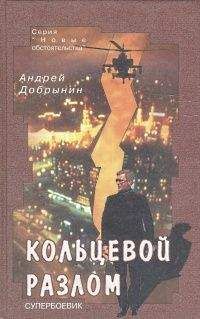 Андрей Добрынин - Кольцевой разлом