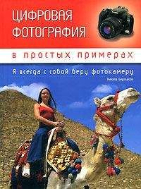 Никита Биржаков - Цифровая фотография в простых примерах
