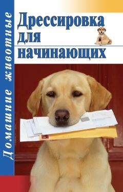 Тамара Руцкая - Дрессировка для начинающих