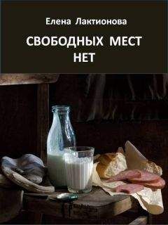 Елена Лактионова - Свободных мест нет. Рассказы советских времен (сборник)