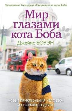 Джеймс Боуэн - Мир глазами кота Боба. Новые приключения человека и его рыжего друга