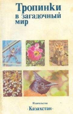 А. Ковшарь - Тропинки в загадочный мир [с иллюстрациями]