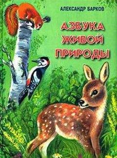 Александр Барков - Азбука живой природы