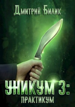 Практикум (СИ) - Билик Дмитрий Александрович