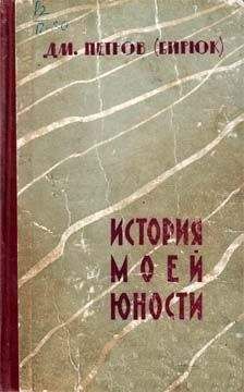 Дмитрий Петров-Бирюк - История моей юности