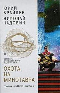 Юрий Брайдер - Гвоздь в башке. Враг за Гималаями. За веру, царя и социалистическое отечество